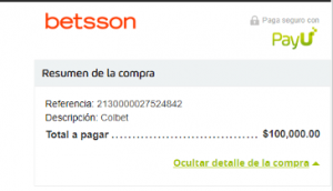 Ticket de pago generado